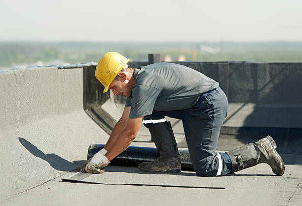 Best Specialized Insulation Services in Montgomery, WV